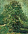 Chestnut Tree in Blossom 2 Vincent van Gogh